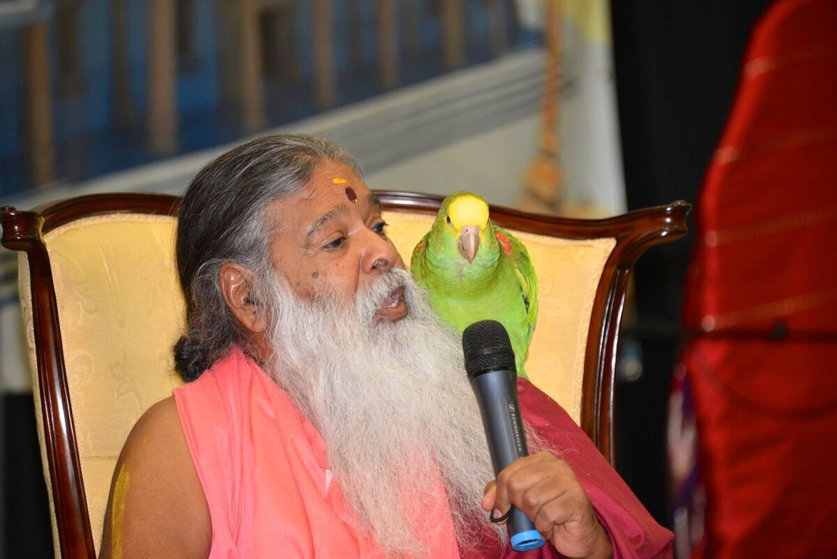 Sri Swamiji with parrot during a music program